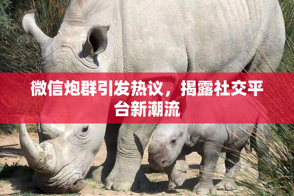 微信炮群引发热议，揭露社交平台新潮流
