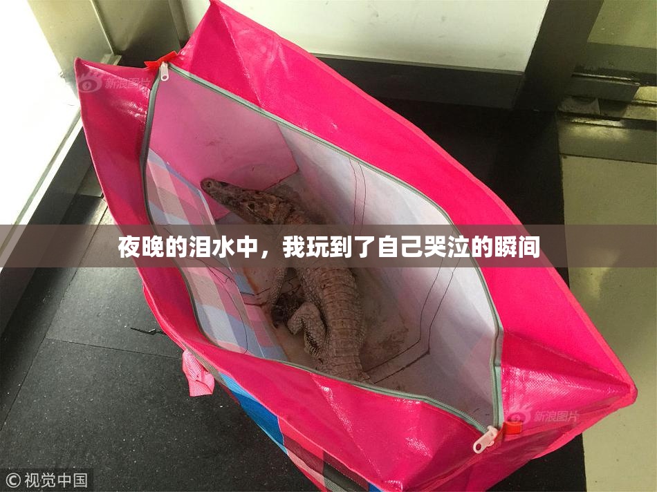 夜晚的泪水中，我玩到了自己哭泣的瞬间