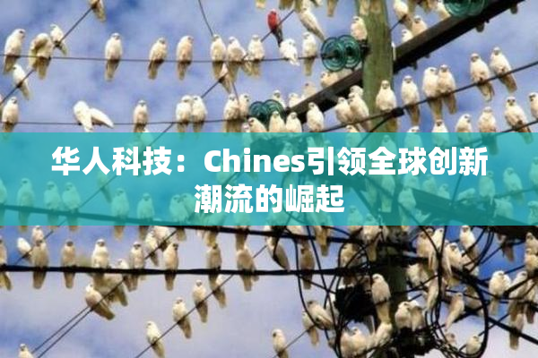 华人科技：Chines引领全球创新潮流的崛起