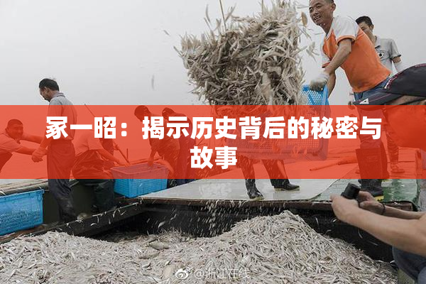 冢一昭：揭示历史背后的秘密与故事