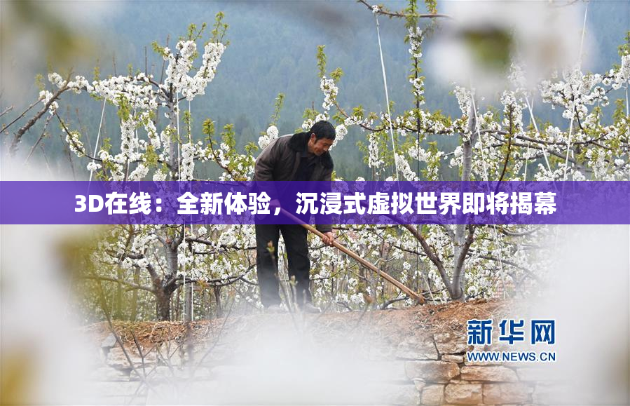 3D在线：全新体验，沉浸式虚拟世界即将揭幕