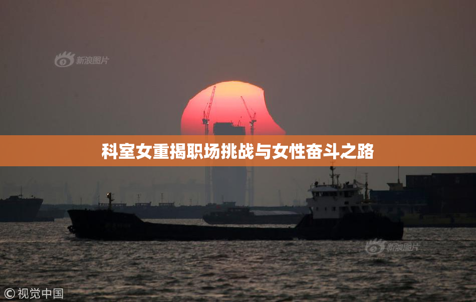 科室女重揭职场挑战与女性奋斗之路
