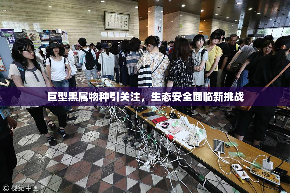 巨型黑属物种引关注，生态安全面临新挑战