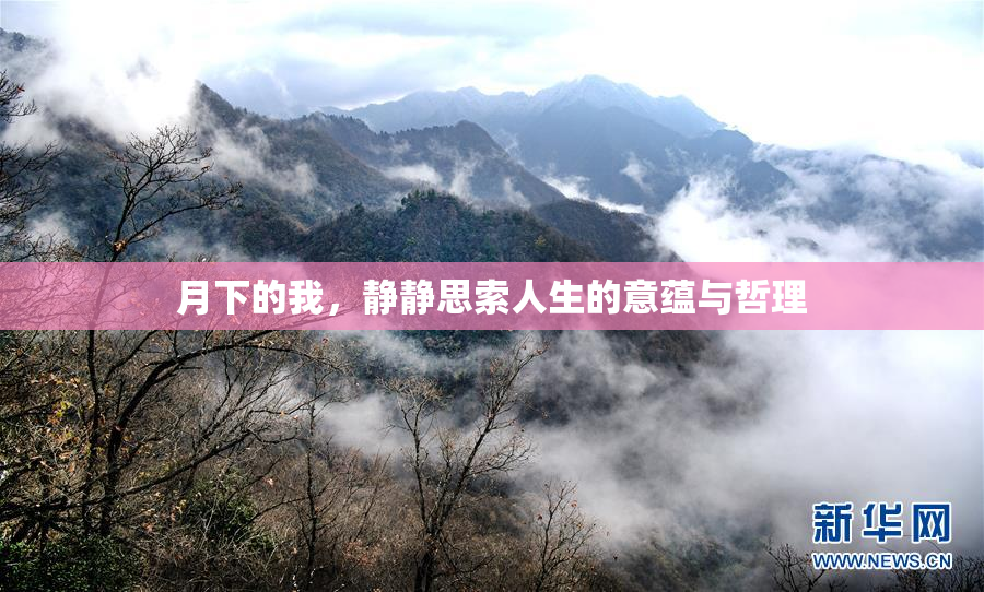 月下的我，静静思索人生的意蕴与哲理