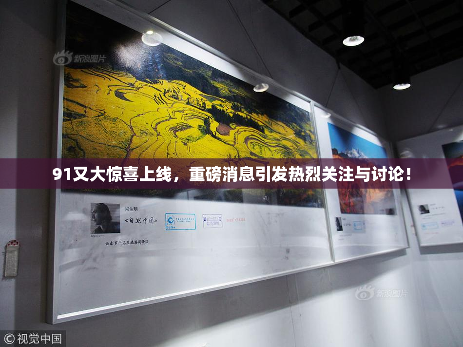 91又大惊喜上线，重磅消息引发热烈关注与讨论！