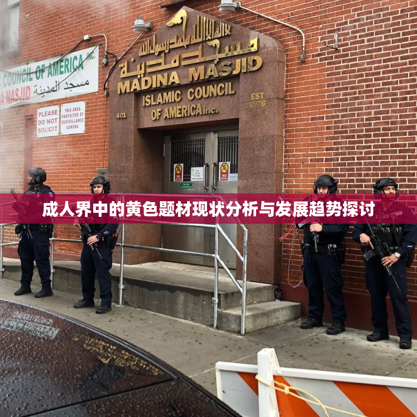 成人界中的黄色题材现状分析与发展趋势探讨