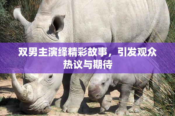 双男主演绎精彩故事，引发观众热议与期待