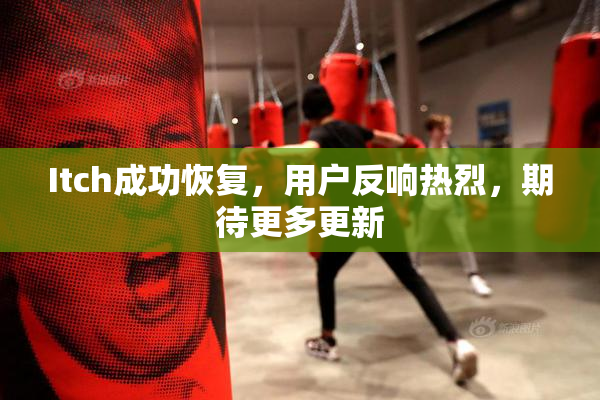 Itch成功恢复，用户反响热烈，期待更多更新