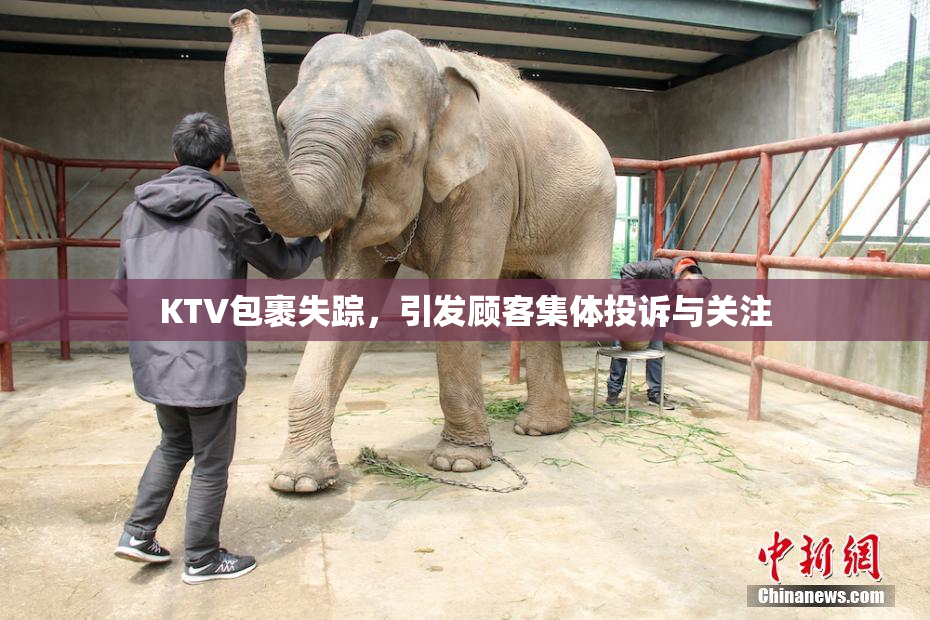 KTV包裹失踪，引发顾客集体投诉与关注
