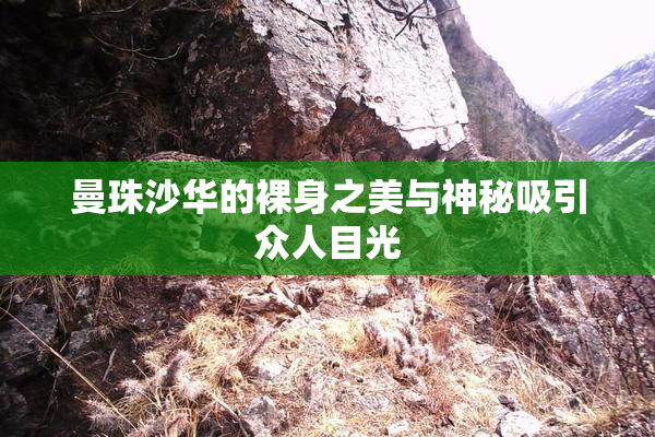 曼珠沙华的裸身之美与神秘吸引众人目光