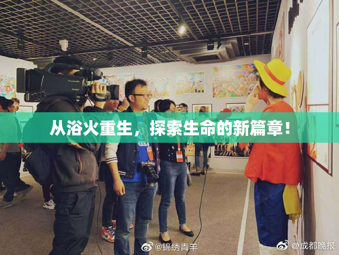 从浴火重生，探索生命的新篇章！