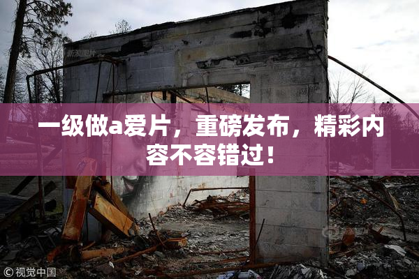 一级做a爱片，重磅发布，精彩内容不容错过！