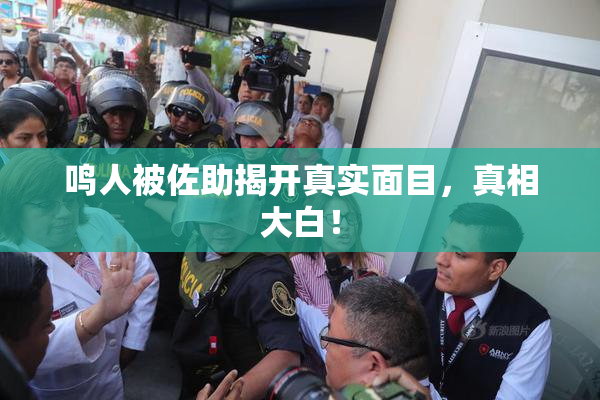 鸣人被佐助揭开真实面目，真相大白！