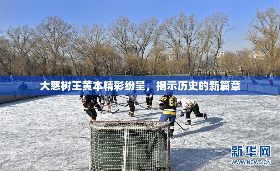 大慈树王黄本精彩纷呈，揭示历史的新篇章