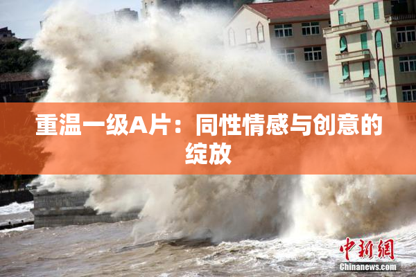 重温一级A片：同性情感与创意的绽放