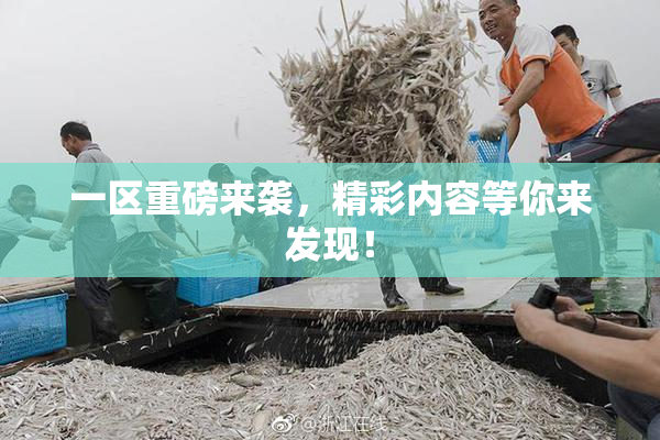 一区重磅来袭，精彩内容等你来发现！