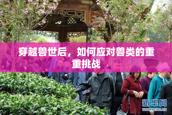 穿越兽世后，如何应对兽类的重重挑战