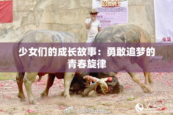 少女们的成长故事：勇敢追梦的青春旋律
