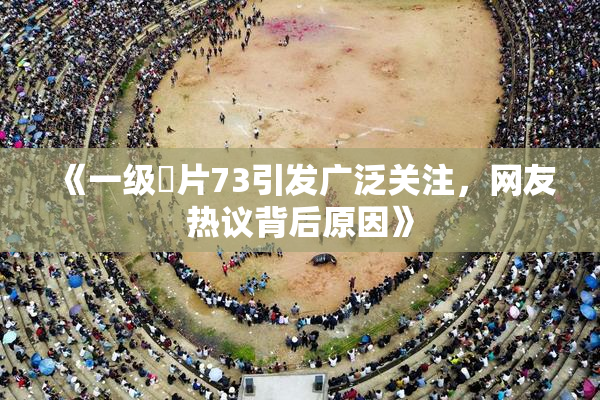 《一级婬片73引发广泛关注，网友热议背后原因》