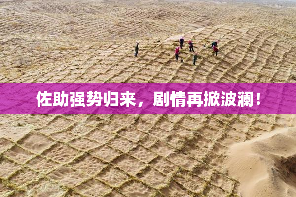 佐助强势归来，剧情再掀波澜！