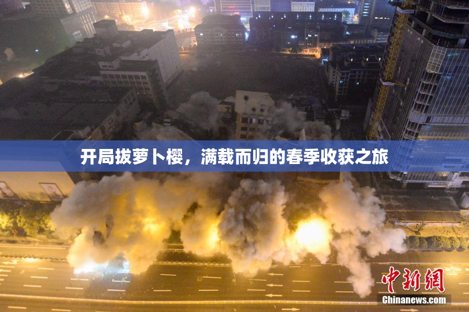 开局拔萝卜樱，满载而归的春季收获之旅