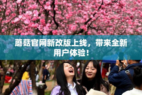 蘑菇官网新改版上线，带来全新用户体验！