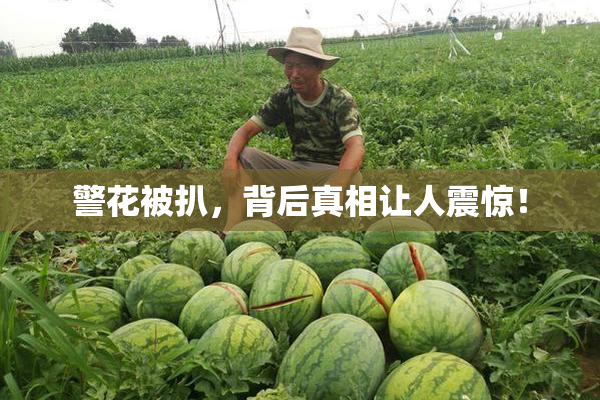 警花被扒，背后真相让人震惊！