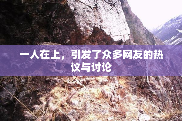 一人在上，引发了众多网友的热议与讨论