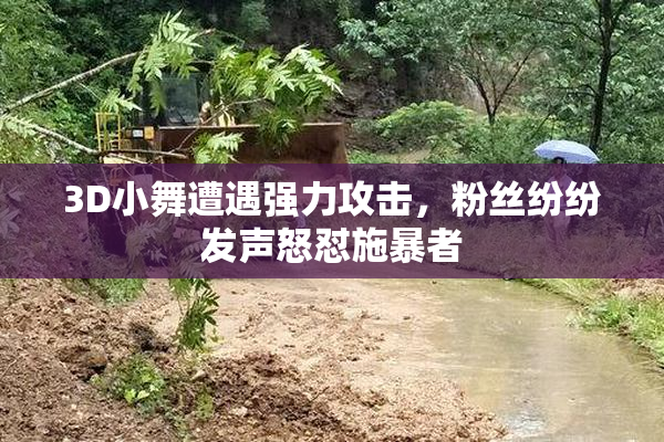 3D小舞遭遇强力攻击，粉丝纷纷发声怒怼施暴者