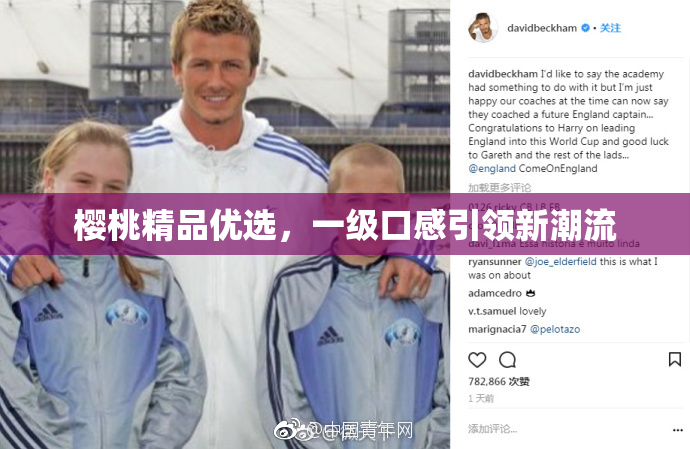 樱桃精品优选，一级口感引领新潮流