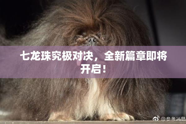 七龙珠究极对决，全新篇章即将开启！