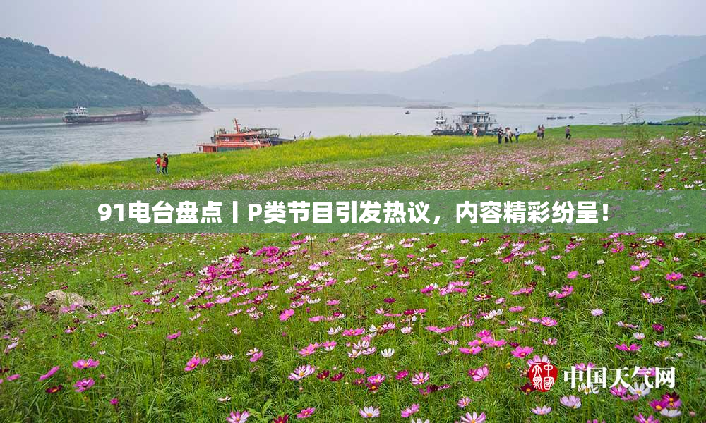 91电台盘点丨P类节目引发热议，内容精彩纷呈！
