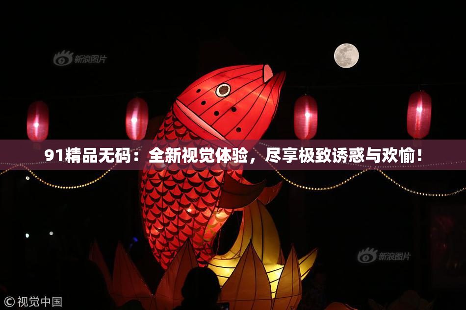 91精品无码：全新视觉体验，尽享极致诱惑与欢愉！