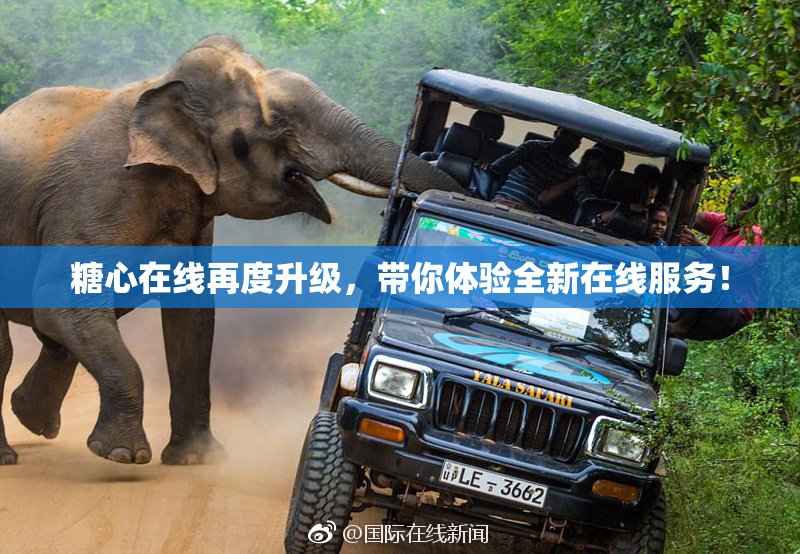 糖心在线再度升级，带你体验全新在线服务！