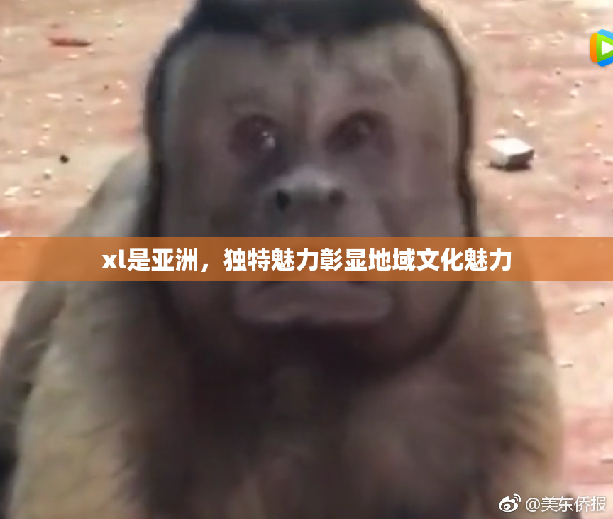xl是亚洲，独特魅力彰显地域文化魅力