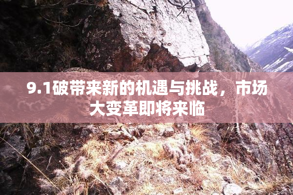 9.1破带来新的机遇与挑战，市场大变革即将来临