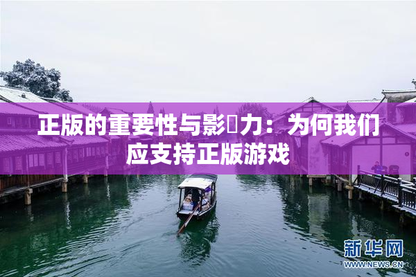 正版的重要性与影響力：为何我们应支持正版游戏