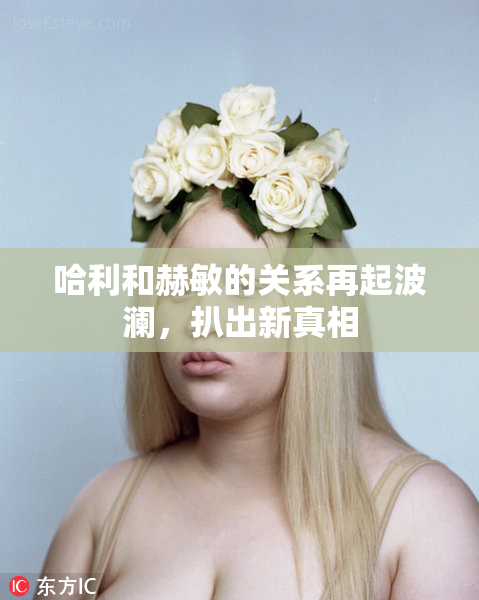 哈利和赫敏的关系再起波澜，扒出新真相