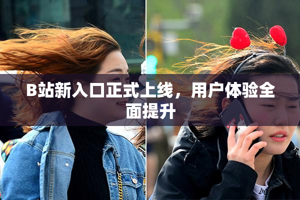 B站新入口正式上线，用户体验全面提升