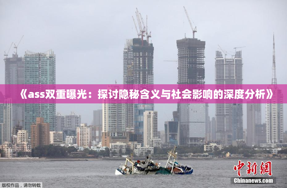 《ass双重曝光：探讨隐秘含义与社会影响的深度分析》