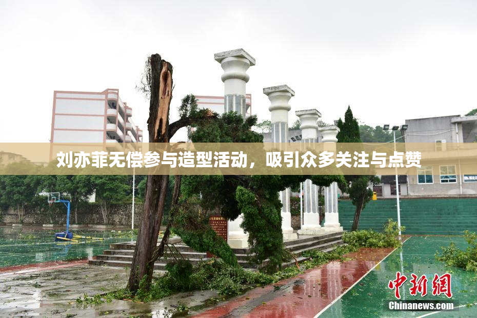 刘亦菲无偿参与造型活动，吸引众多关注与点赞
