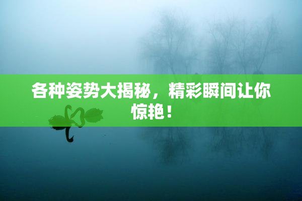 各种姿势大揭秘，精彩瞬间让你惊艳！