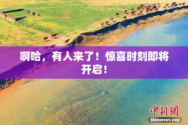 啊哈，有人来了！惊喜时刻即将开启！