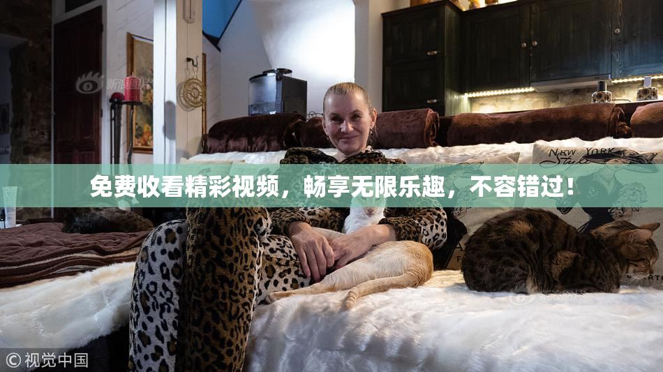 免费收看精彩视频，畅享无限乐趣，不容错过！