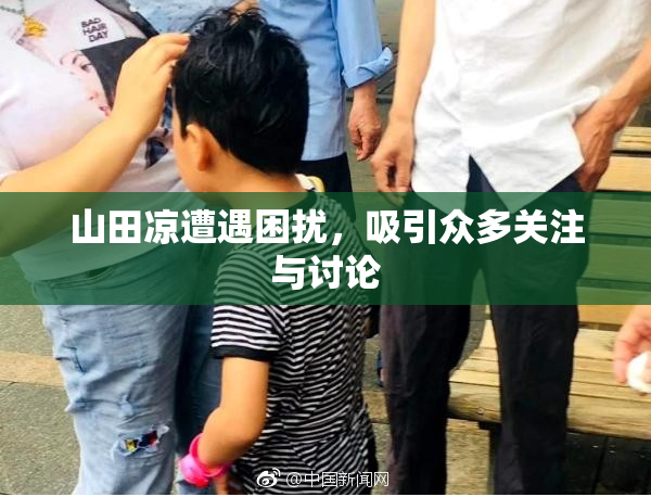 山田凉遭遇困扰，吸引众多关注与讨论