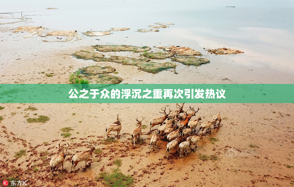 公之于众的浮沉之重再次引发热议