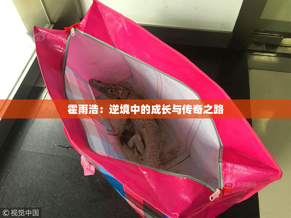 霍雨浩：逆境中的成长与传奇之路