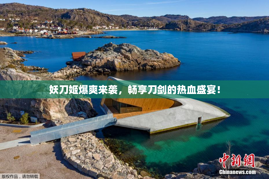 妖刀姬爆爽来袭，畅享刀剑的热血盛宴！