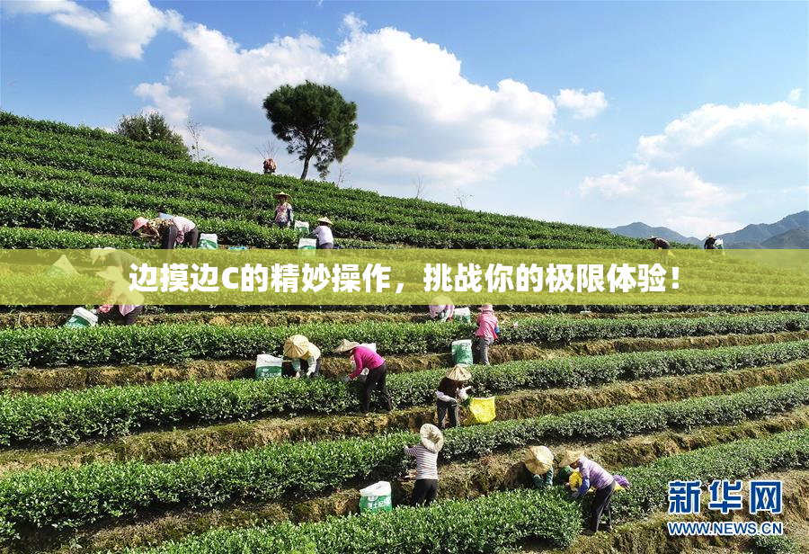 边摸边C的精妙操作，挑战你的极限体验！