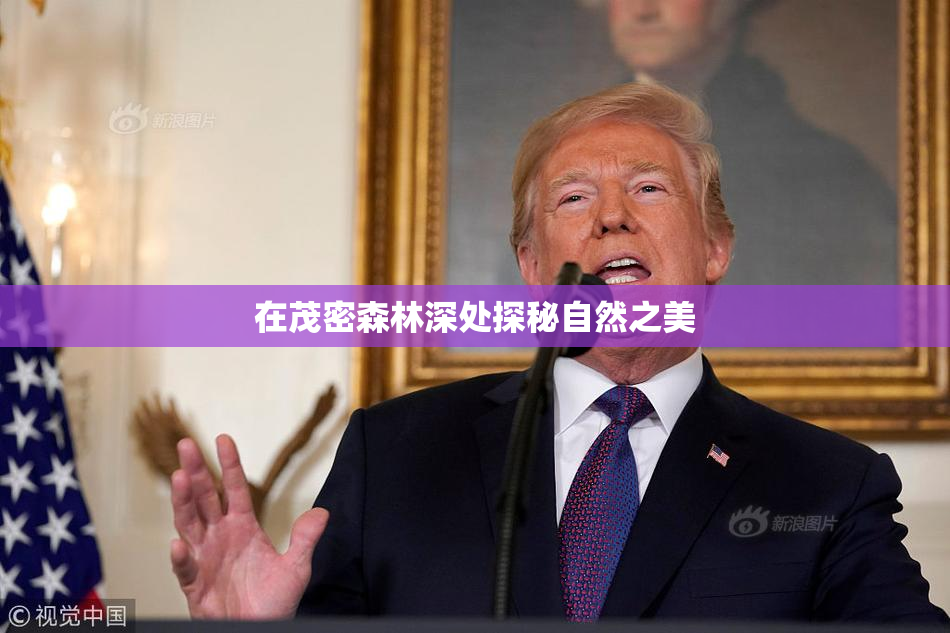在茂密森林深处探秘自然之美